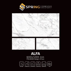 image_2025-01-26_111547_1809017319