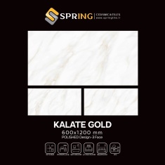 image_2025-01-26_111605_311778987