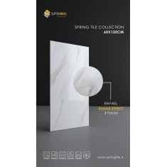 img_20250127_135611_831