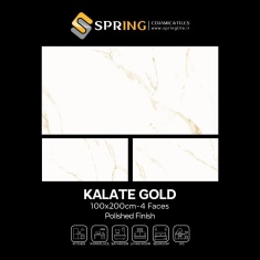 img_20250127_135640_939