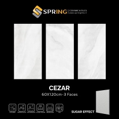 img_20250127_135706_442