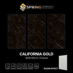 img_20250127_135707_297