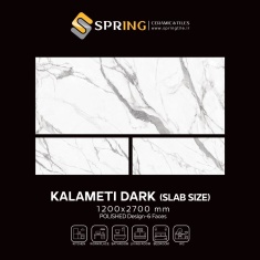 img_20250127_135754_161