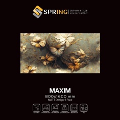 img_20250127_135815_525_816267545