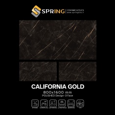 img_20250127_135842_644