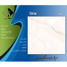 img_20250210_141119_981