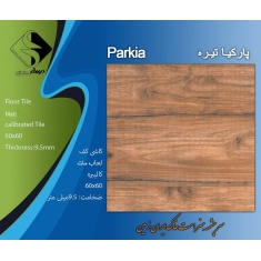 img_20250210_141129_585