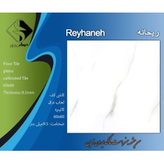 img_20250210_141150_000