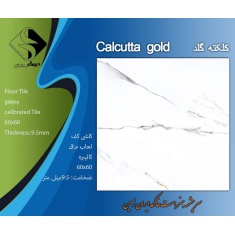 img_20250210_141154_417