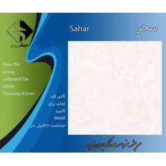 img_20250210_141206_809