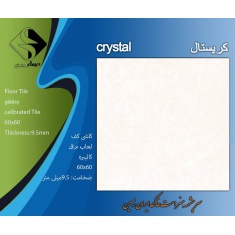 img_20250210_141215_240