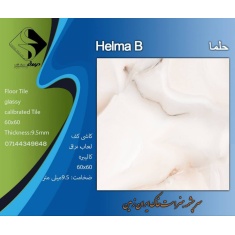 img_20250210_141232_484